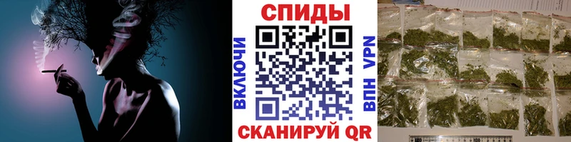 где найти   Вытегра  гидра tor  БУТИРАТ буратино 