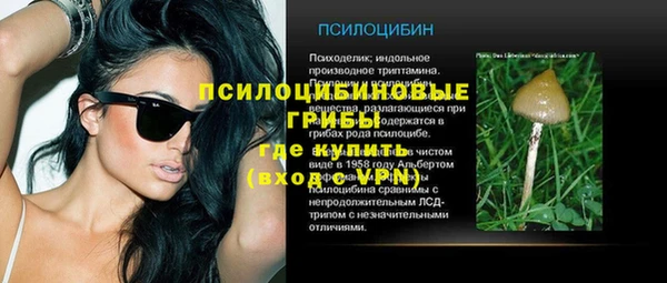 ешки Верея